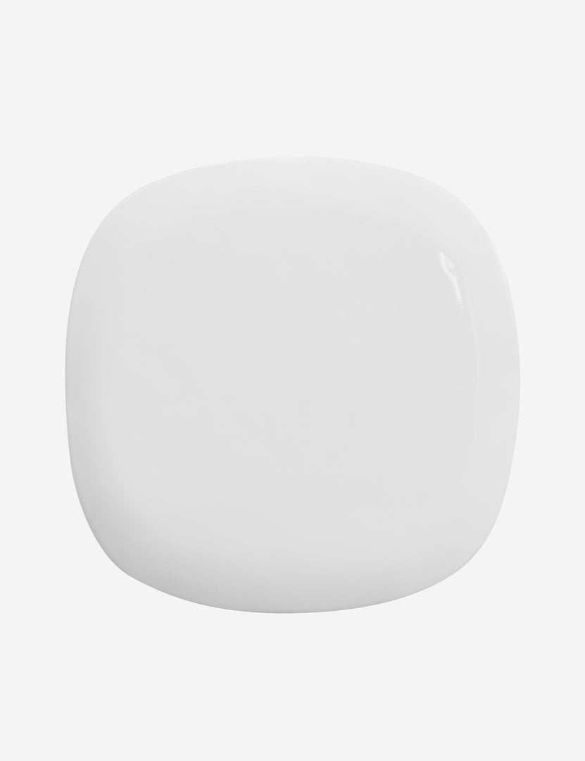 #color::white