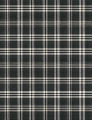 The prep-school plaid fabric