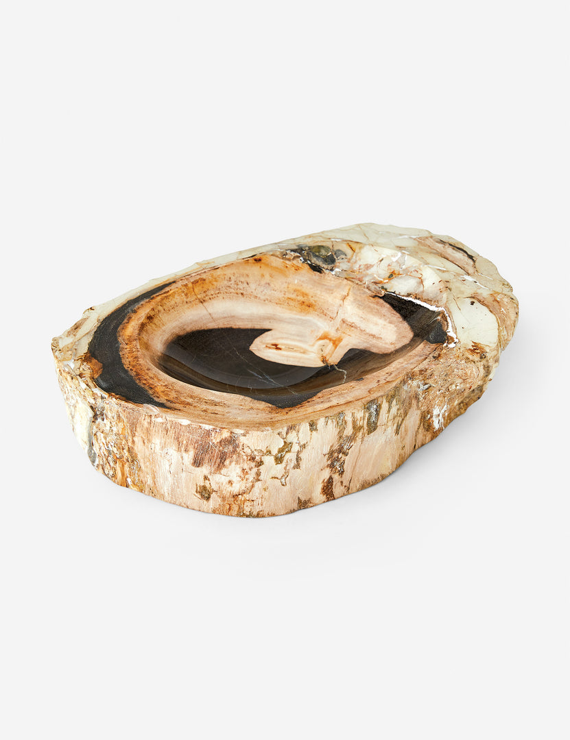 #color::brown | Arriaga petrified wood bowl.