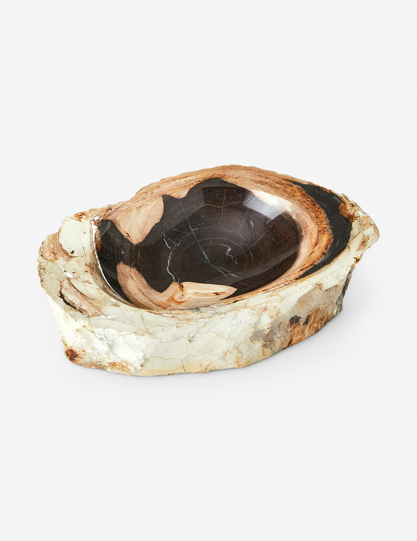 #color::brown | Arriaga petrified wood bowl.