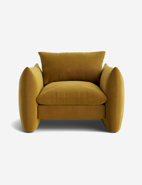 #color::goldenrod-plush-velvet