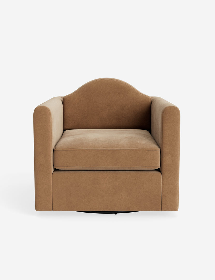 #color::caramel-vintage-velvet