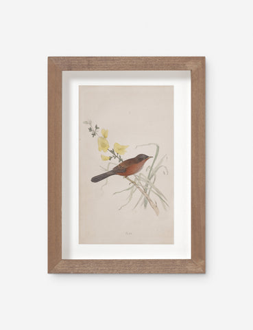 Vintage + One-of-A-Kind Wall Art