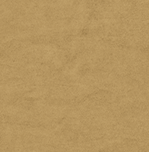 Brie Classic Velvet Swatch