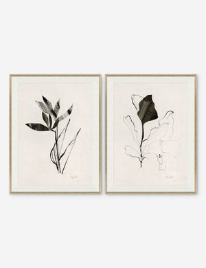 Noir I & II Print (Set of 2) by Yuki Osada