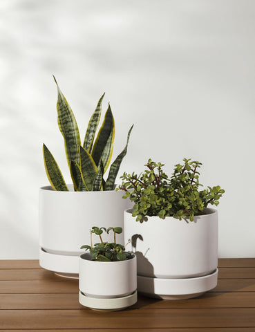 LBE Design Pots + Planters