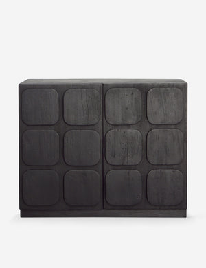 Robledo raised panel organic design sideboard cabinet in black.