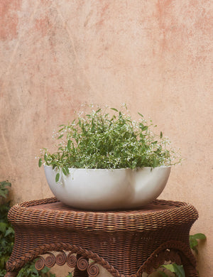 Dempsy low sculptural large planter by Sarah Sherman Samuel in Eggshell filled with flowers.