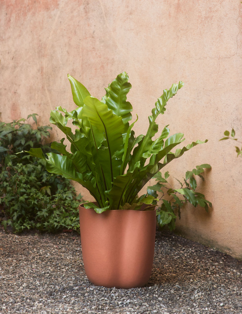 #color::sienna #style::small | Dempsy small sculptural planter by Sarah Sherman Samuel in Sienna filled with a potted plant.