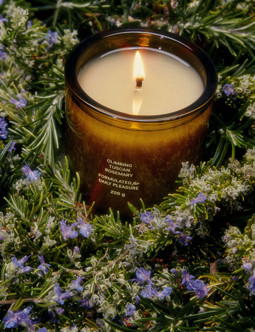 #scent::climbing-tuscan-rosemary