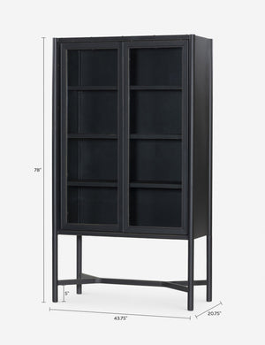 Hobson Curio Cabinet : Black