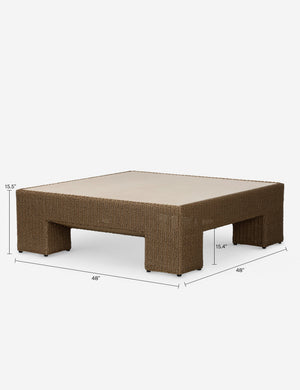 Alanis Outdoor Coffee Table : Natural