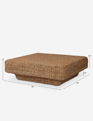 Arisha Coffee Table : Natural