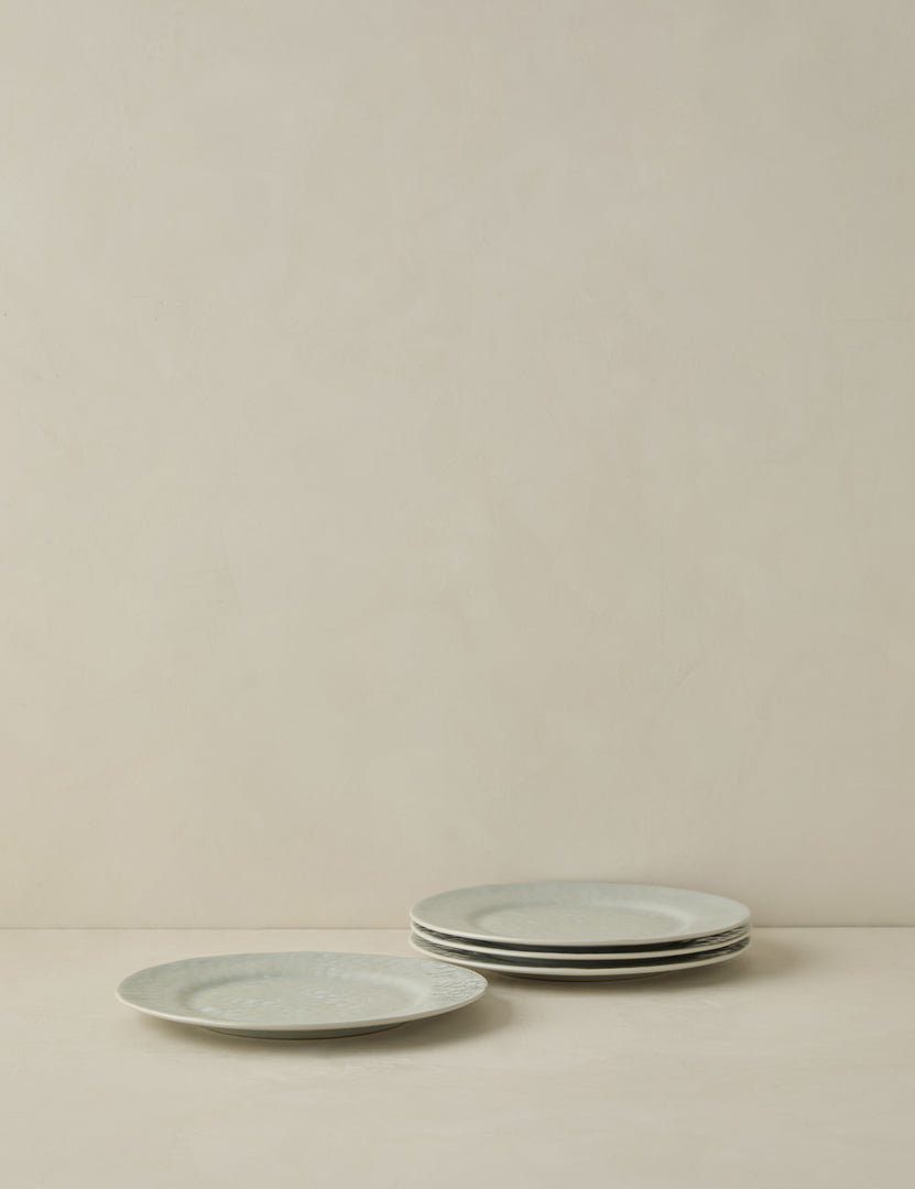 #color::gray #style::salad-plates--set-of-4