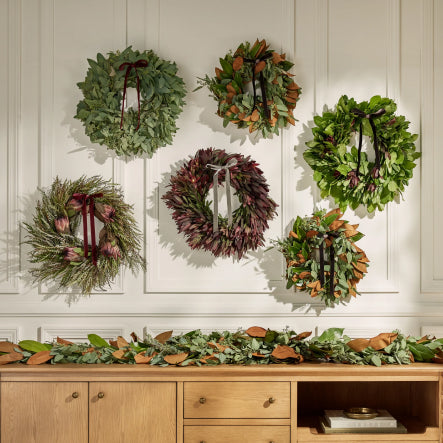 Bring In The Season | Shop Live Greenery