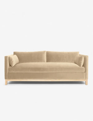 Brie Velvet Hollingworth Sofa by Ginny Macdonald