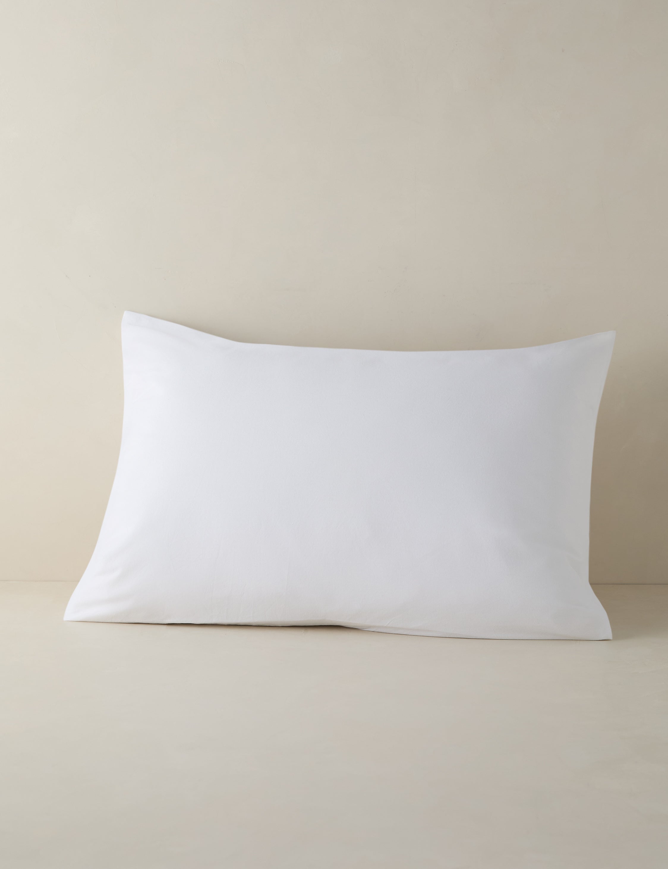 #color::white #size::standard