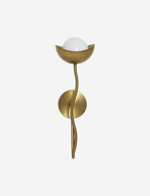 Kukka modern wavy arm wall sconce in brass