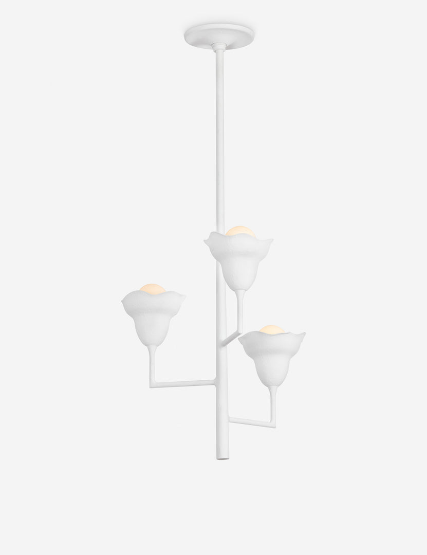 #color::white #size::20.25-dia