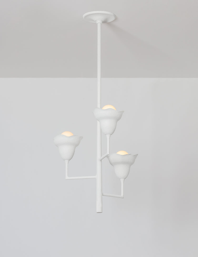 #color::white #size::20.25-dia