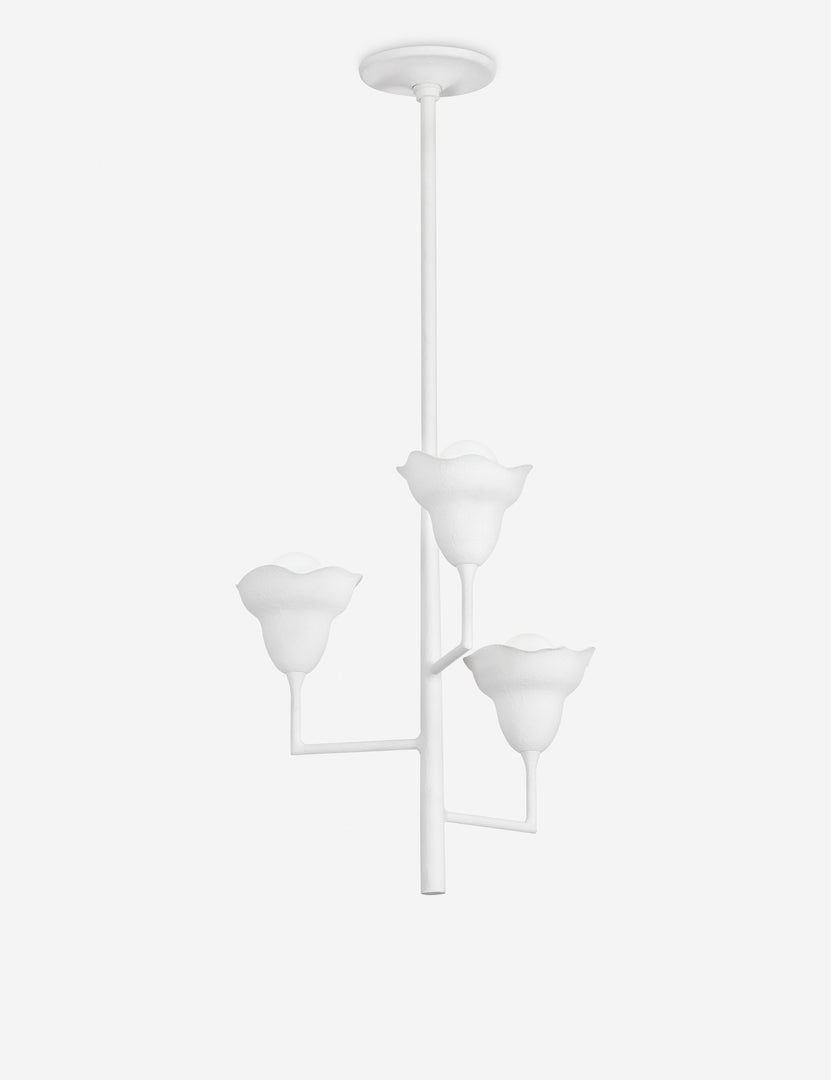 #color::white #size::20.25-dia