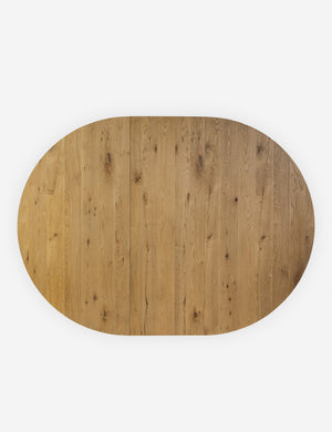 Overhead view of the Hermoza sculptural round pedestal extendable dining table.