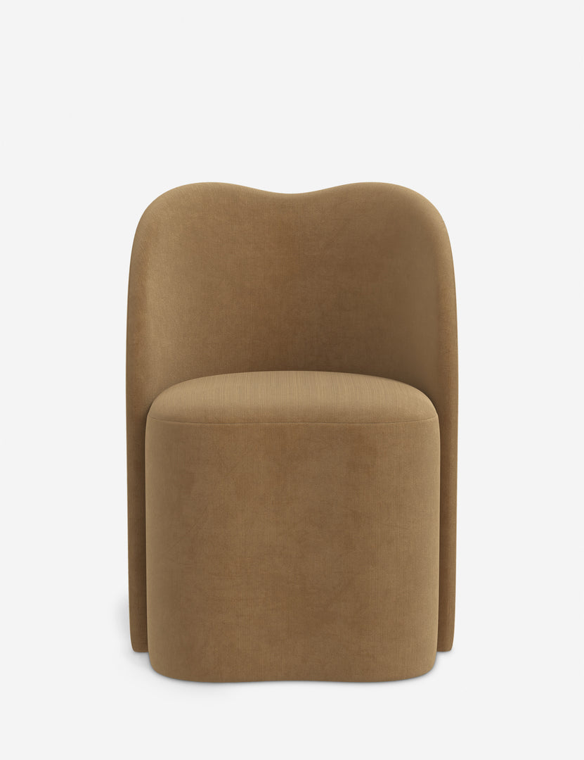 #color::caramel-vintage-velvet