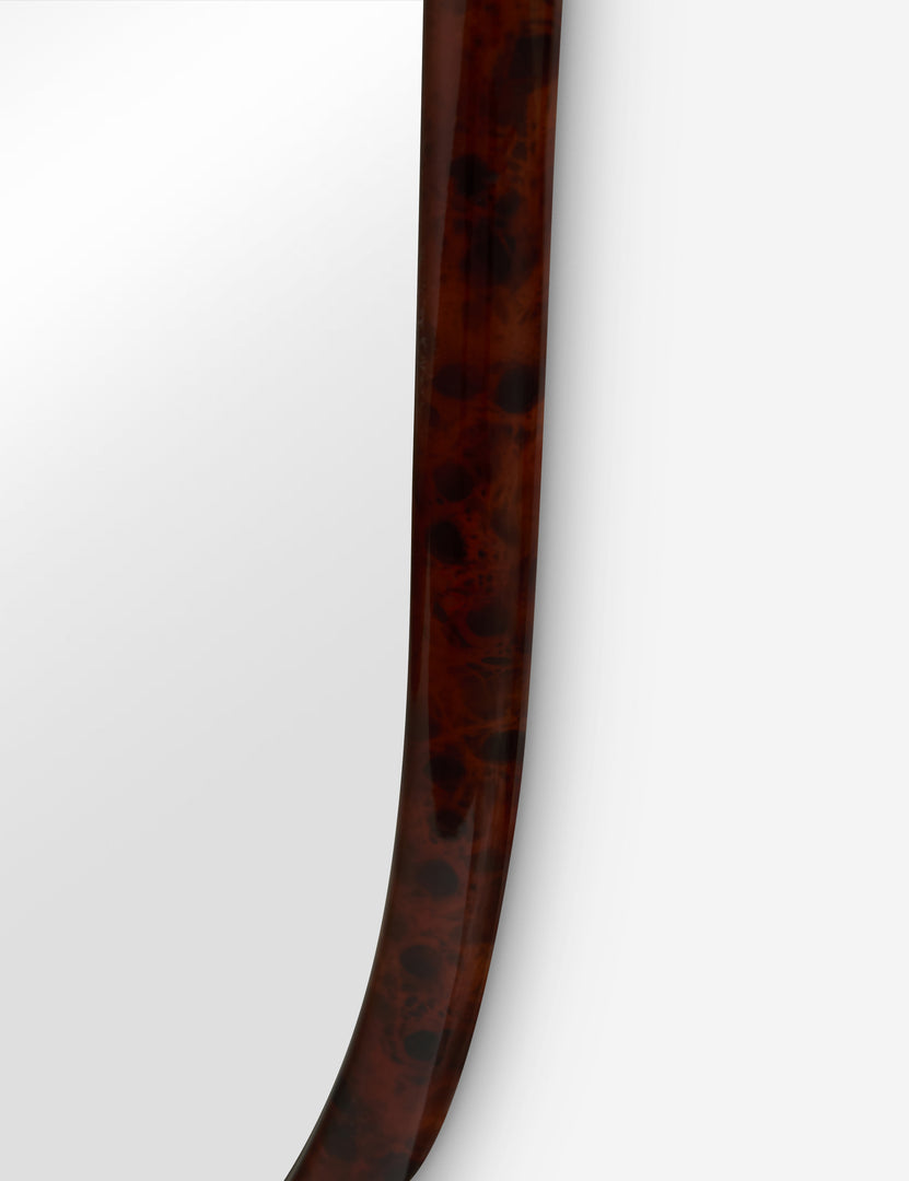 #color::tortoise #size::small #size::large