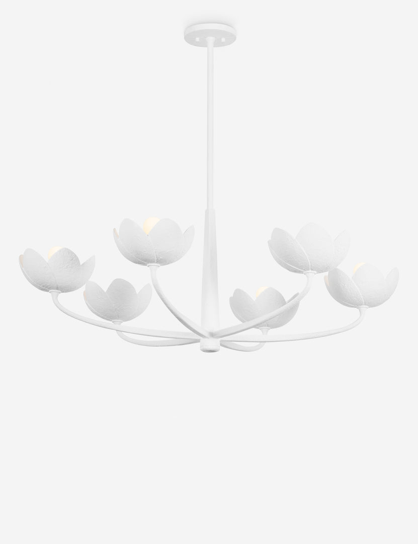 #color::white #size::39.5-dia