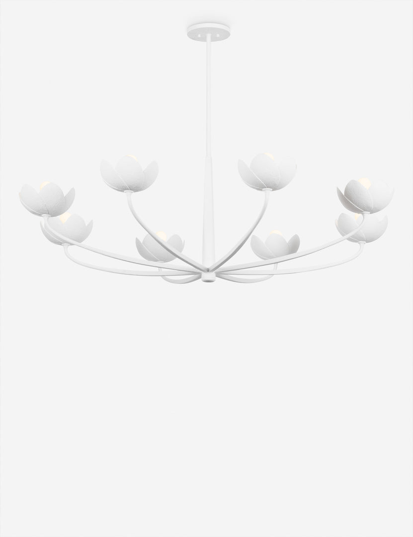 #color::white #size::55-dia