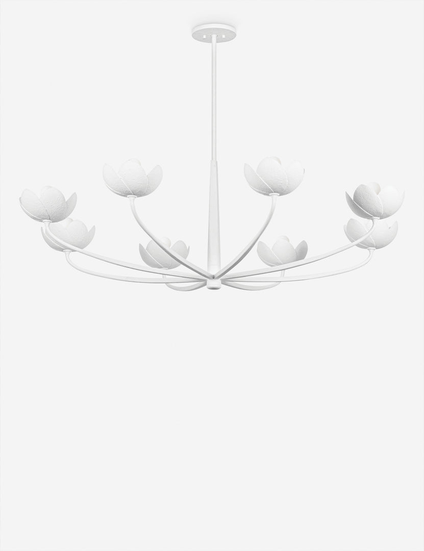 #color::white #size::55-dia