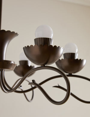 Close up of the Houghton six arm iron chandelier by Heidi Caillier