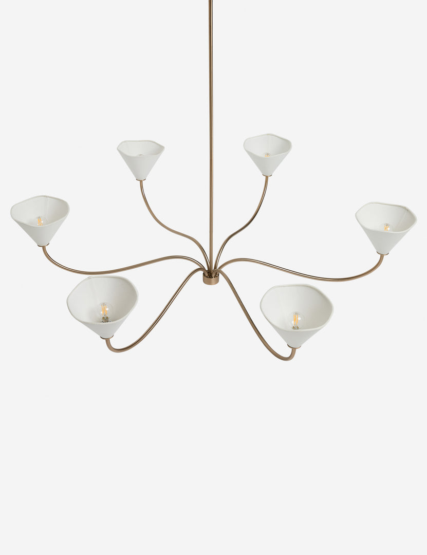 #color::satin-brass #size::55-dia