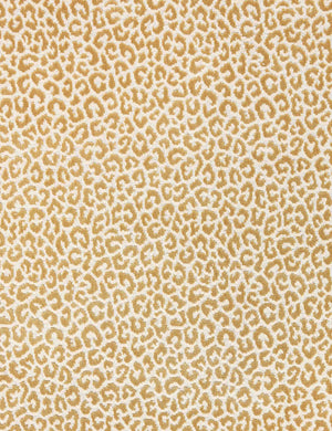 Panthera Velvet Fabric Swatch by Scalamandre, Camel