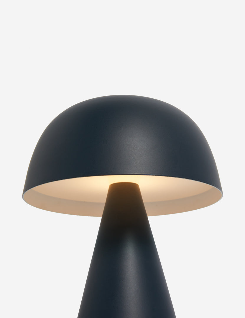 #color::navy-blue #size::mini