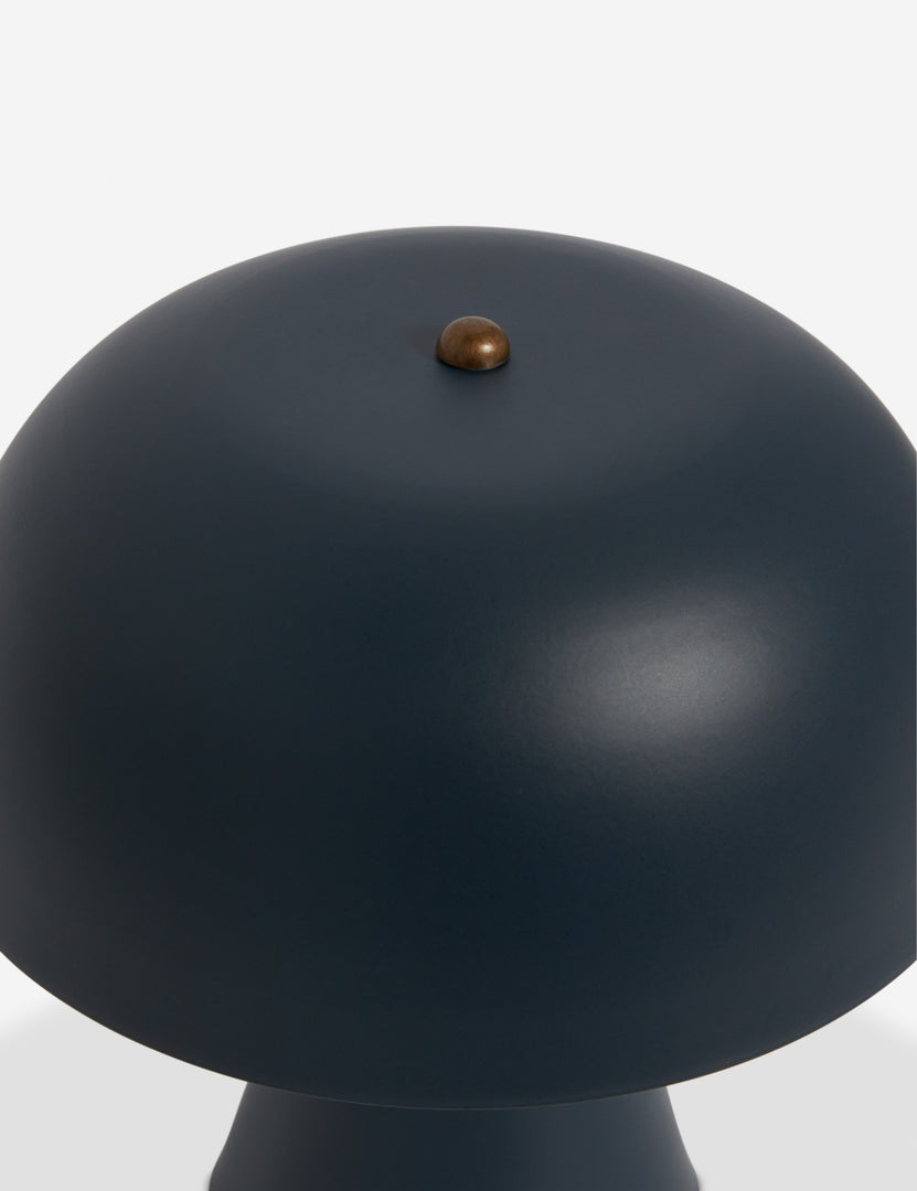 #color::navy-blue #size::mini