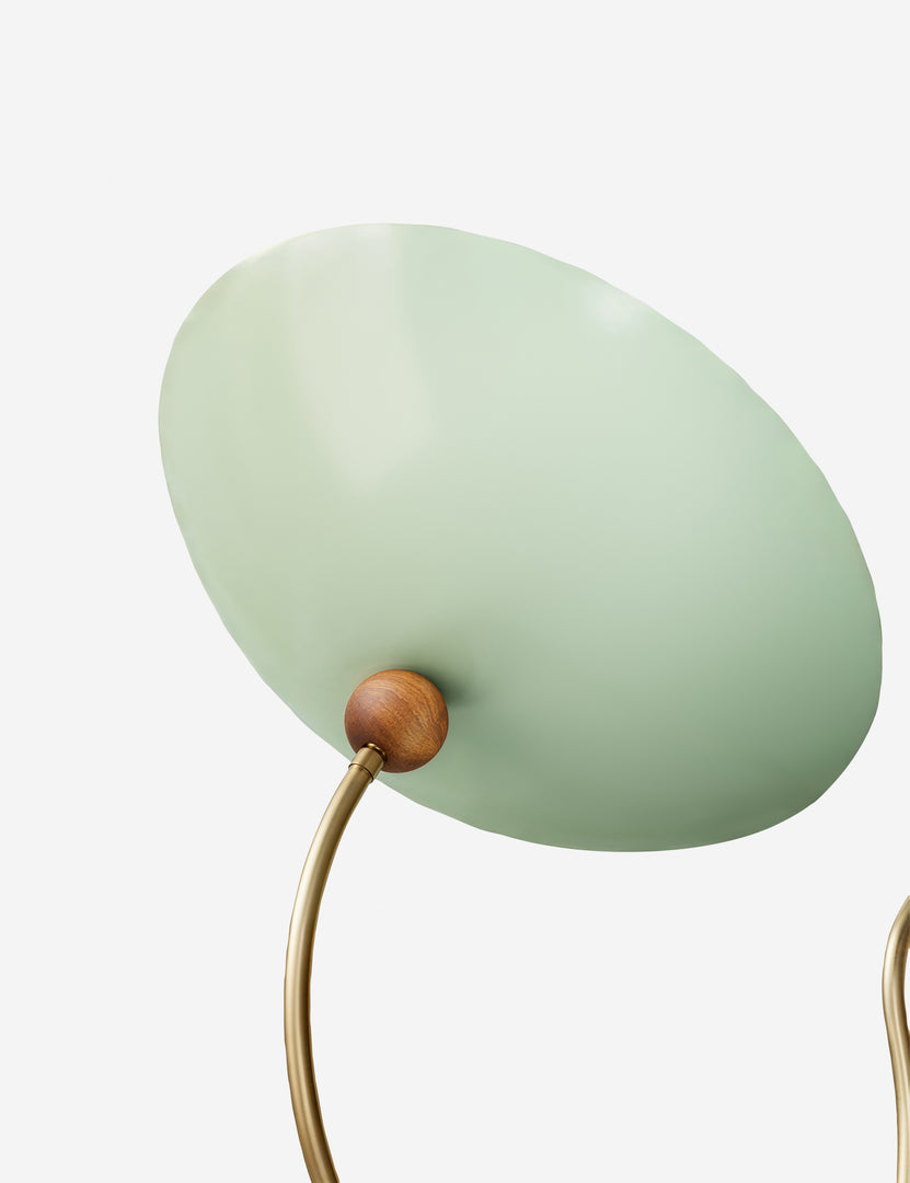#color::brushed-brass-and-sweet-mint