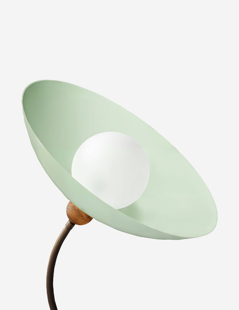 #color::dark-bronze-and-sweet-mint