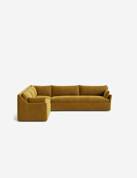 #color::goldenrod-plush-velvet #configuration::left-facing