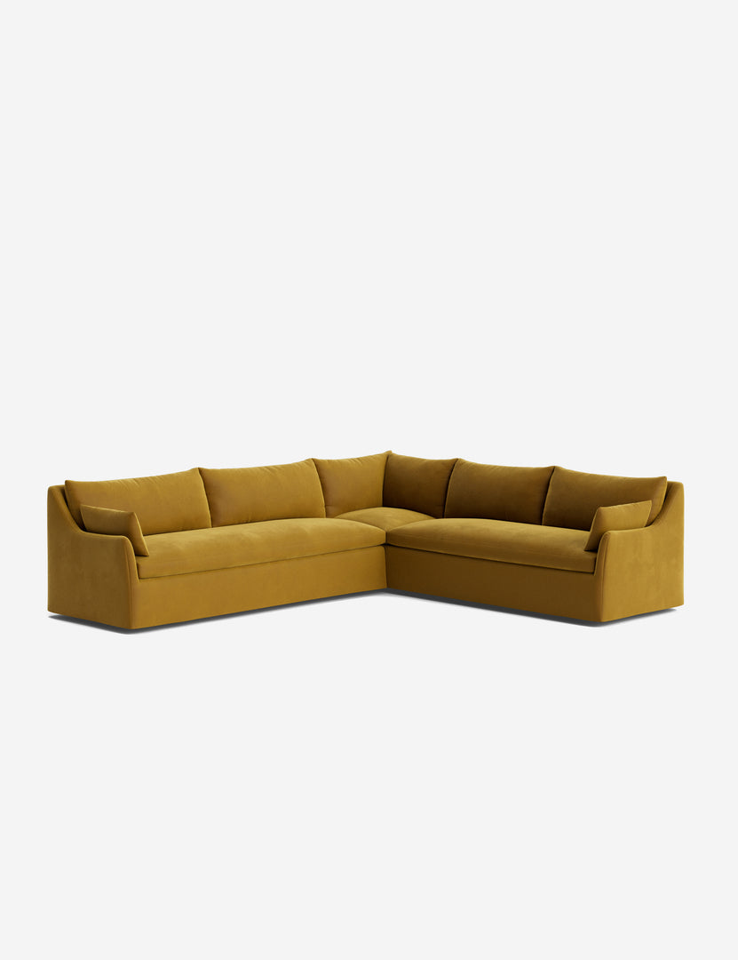 #color::goldenrod-plush-velvet #configuration::right-facing