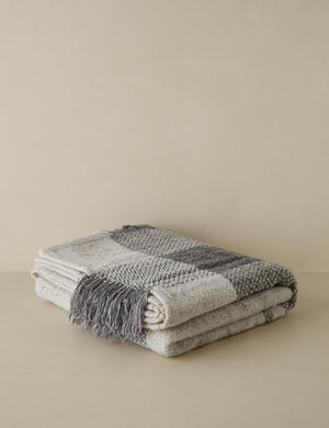 Sidle heathered plaid fringed outdoor throw blanket.