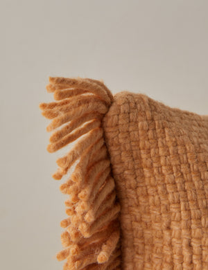 Corner of the Thorpe chunky woven fringed outdoor pillow in terracotta.