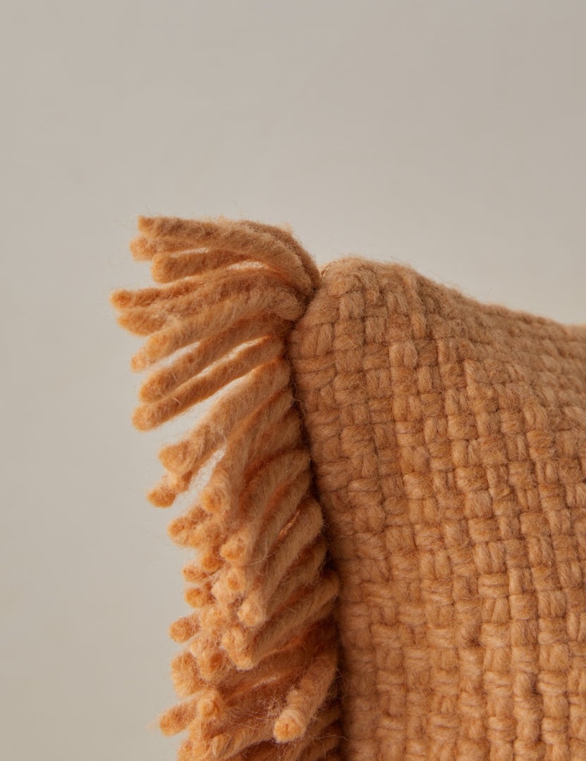 #color::terracotta #style::square #style::lumbar | Corner of the Thorpe chunky woven fringed outdoor pillow in terracotta.