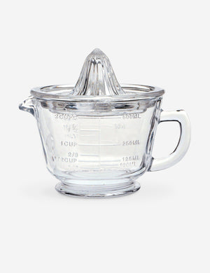 Glass Citrus Juicer