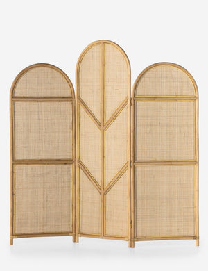 Tapia Screen