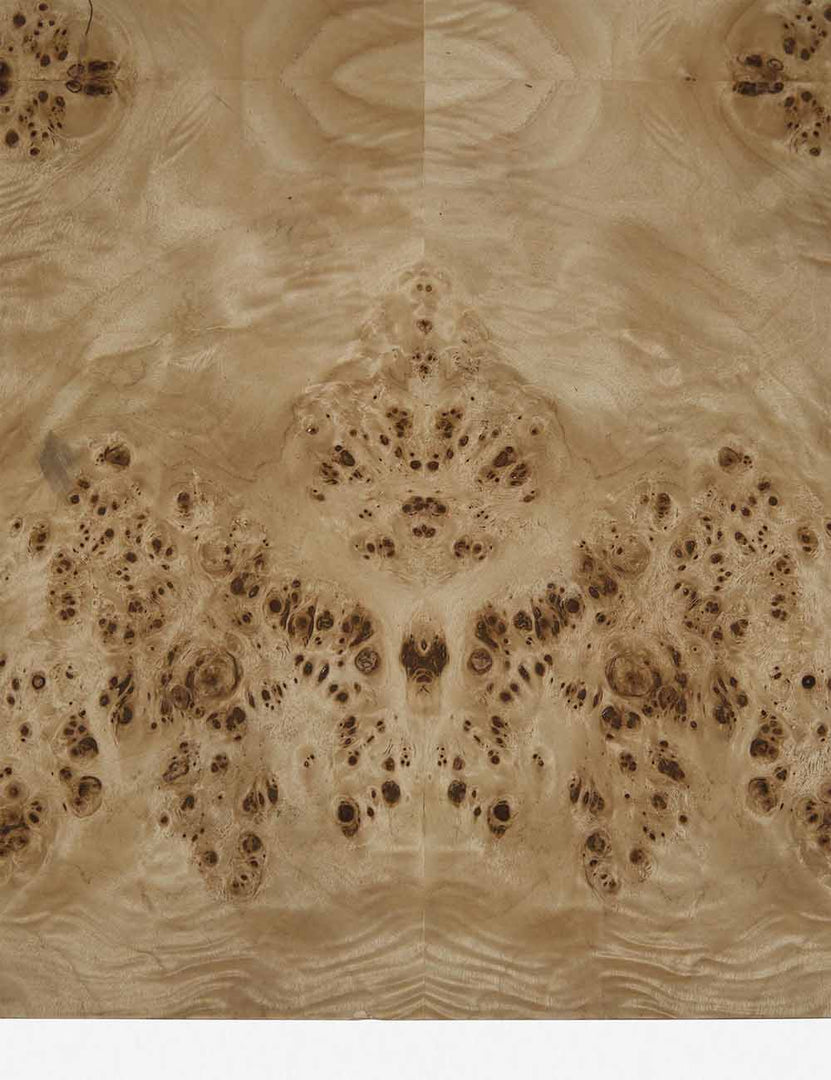 | Close-up of burl wood