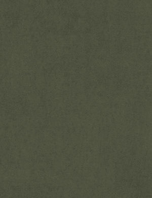 The Moss Green Velvet fabric