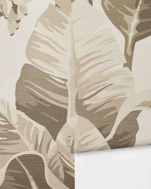 Pacifico Palm Wallpaper by Nathan Turner, Natural Grasscloth Swatch