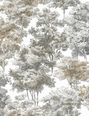 Old World Trees Peel + Stick Wallpaper Swatch, Gray