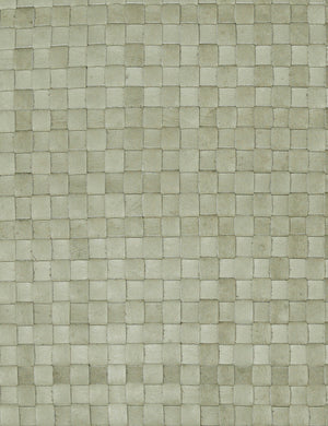 The mint green basket weave material